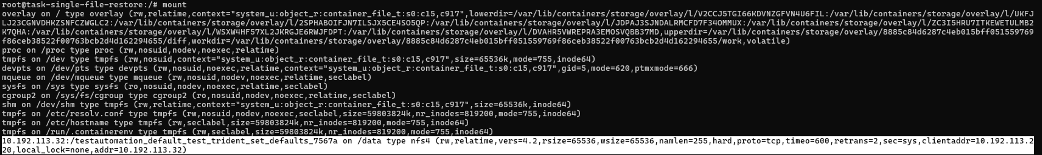 mount directory in the VM