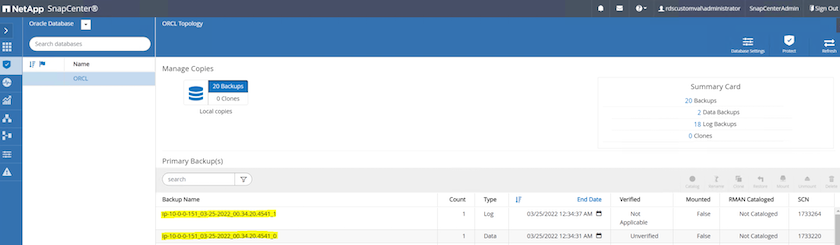 Figure showing input/output dialog or representing written content