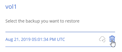 A screenshot of the delete icon for a backup after you select a volume.