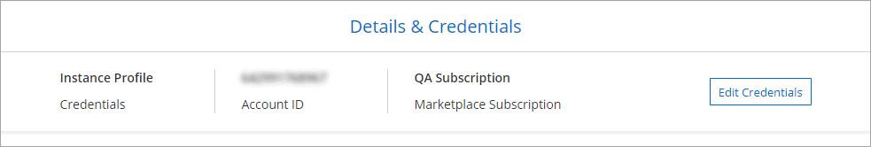 A screenshot of the Details & Credentials page in the working environment wizard that shows the Edit Credentials button.