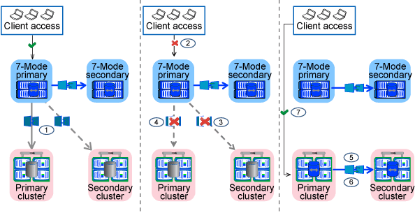 transition primary