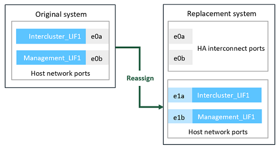 Reassigning LIFs to network ports on the replacement system