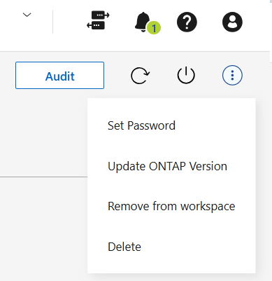 A screenshot that shows the menu available from the system that contains the Set password action.
