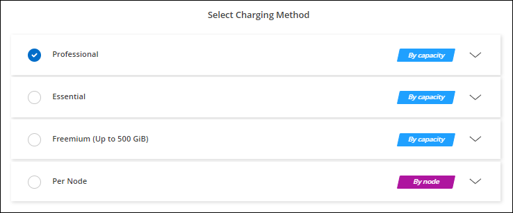 A screenshot of the Professional option when creating a Cloud Volumes ONTAP system.
