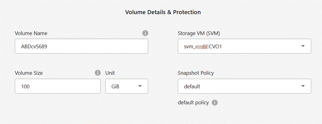 Screen shot: Shows the Volume page filled out for a Cloud Volumes ONTAP instance.