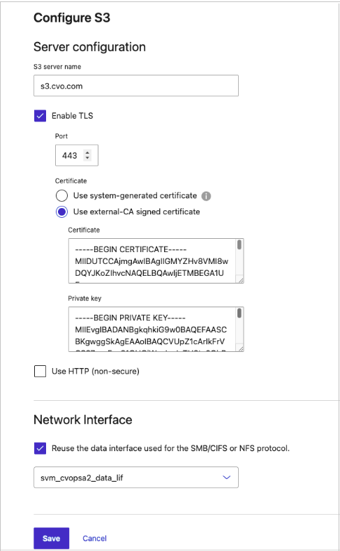 screenshot ontap s3 svm config