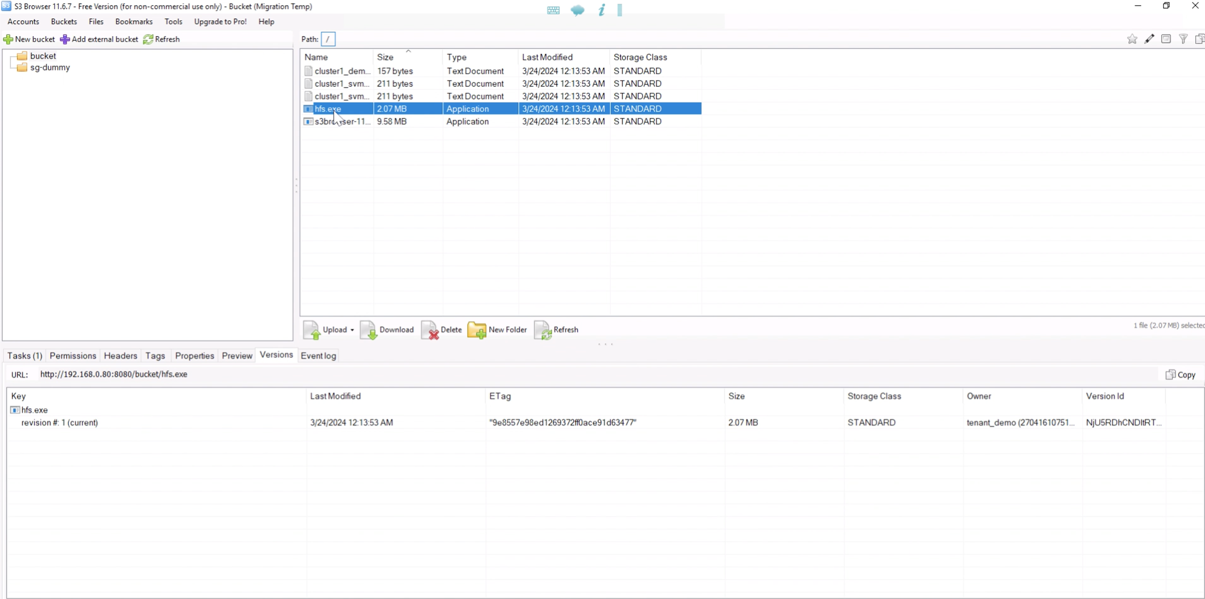 S3browser view of the StorageGRID bucket after initial sync