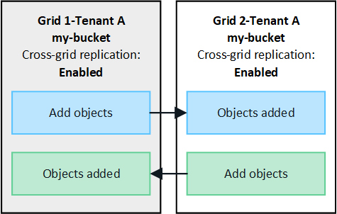 image showing replication in one direction compared to replication in both directions