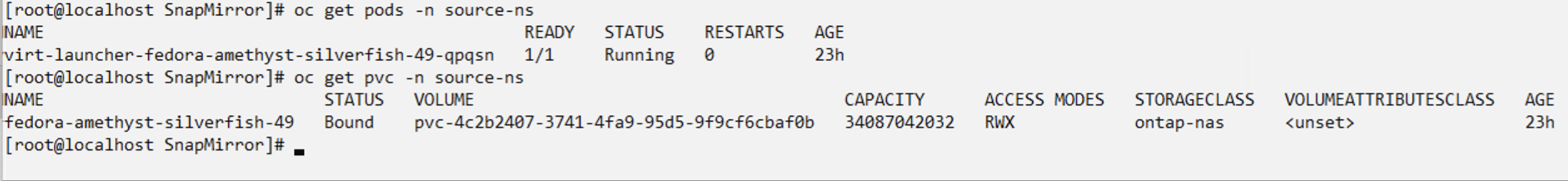 安装在 source-ns 命名空间中的 OCP-v VM
