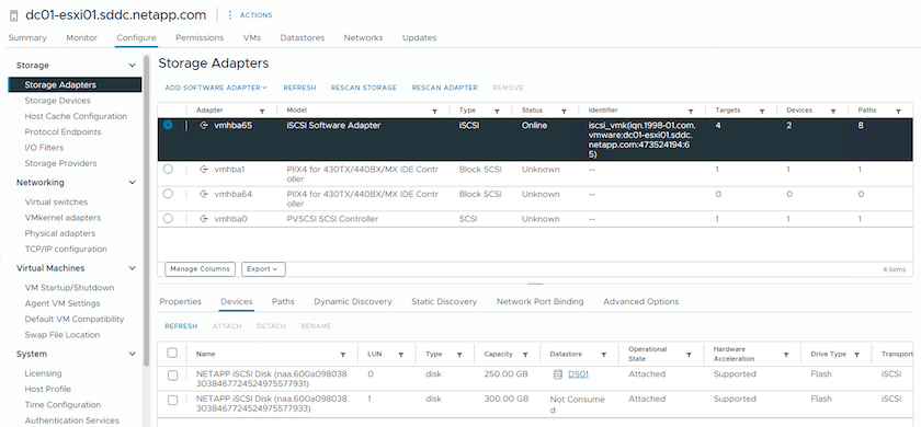 vSphere 主机上的 iSCSI 设备列表