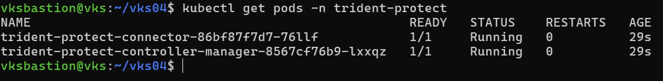 Trident Protect 安裝完成