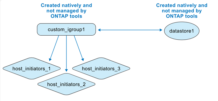 原生建立的資料存放區和 igroup