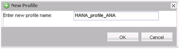 SAP HANA使用者設定檔